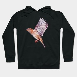 Magical House Sparrow painting (no background) Hoodie